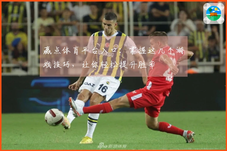 赢点体育平台入口：掌握这几个游戏技巧，让你轻松提升胜率