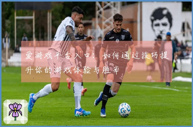 爱游戏平台入口：如何通过技巧提升你的游戏体验与胜率