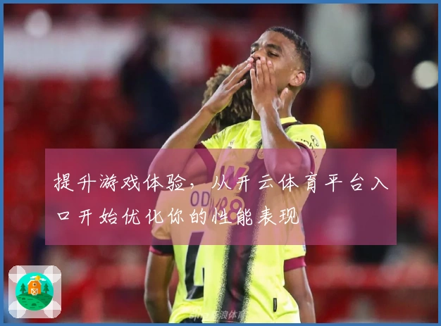 提升游戏体验，从开云体育平台入口开始优化你的性能表现