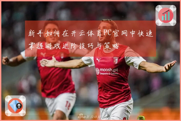 新手如何在开云体育PC官网中快速掌握游戏进阶技巧与策略