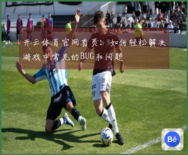 开云体育官网首页：如何轻松解决游戏中常见的BUG和问题